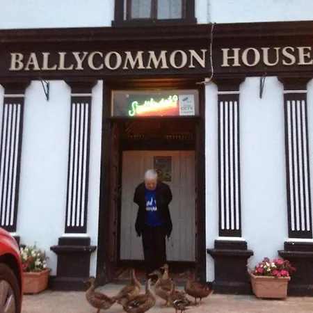 Ballycommon House דירה *